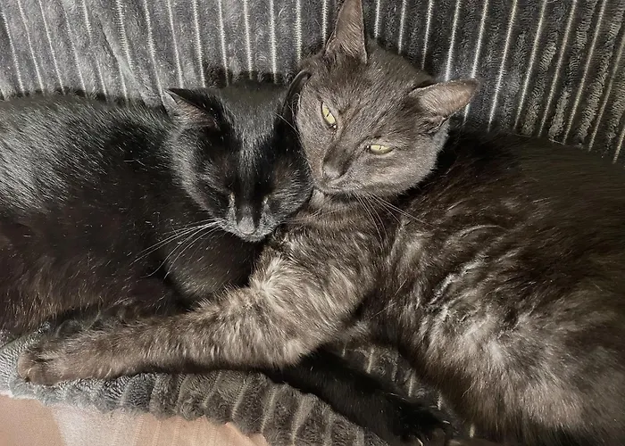 Pensionat La Caminade *