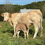Affittacamere La Caminade *