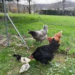 Affittacamere La Caminade