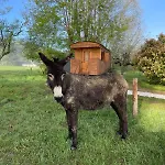 Affittacamere La Caminade Bourg-de-Bigorre