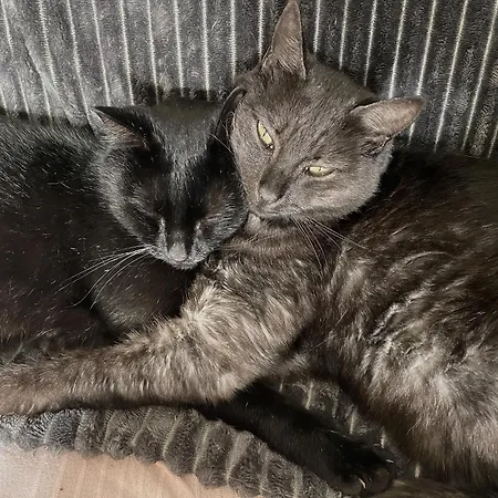 招待所 La Caminade *