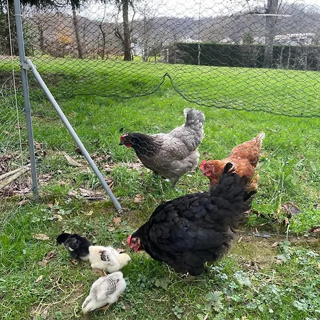 招待所 La Caminade