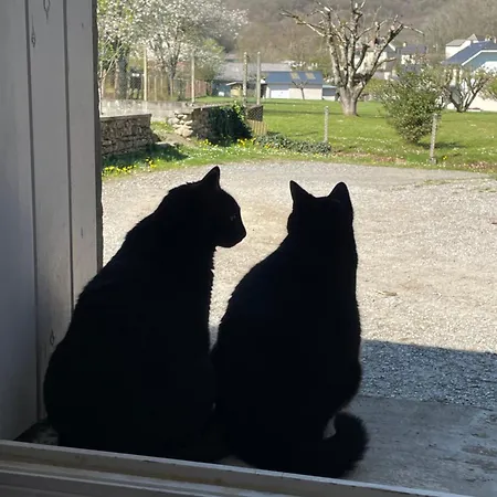 La Caminade Maison d'hôtes Bourg-de-Bigorre