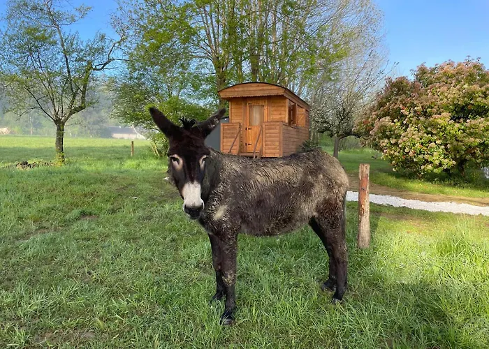 ゲストハウス La Caminade Bourg-de-Bigorre